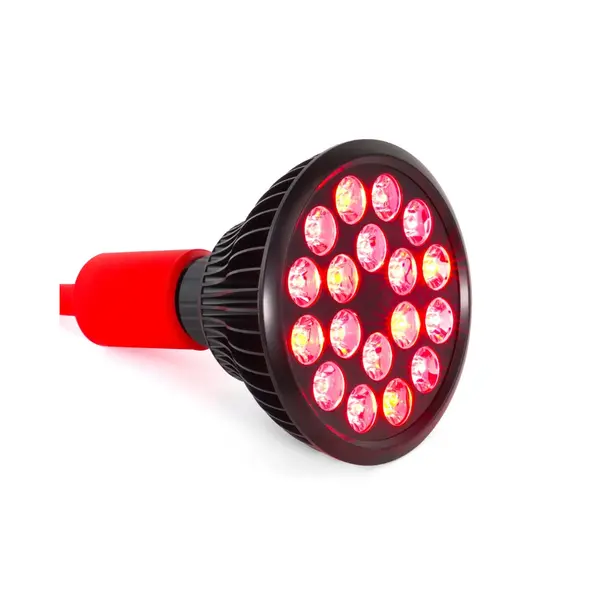Mito Light Bulb 5.0