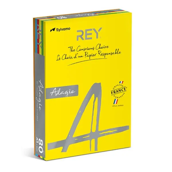 10136-1 Papir u boji REY ADAGIO INTENSO A3  80 g/m2 500l Arancio