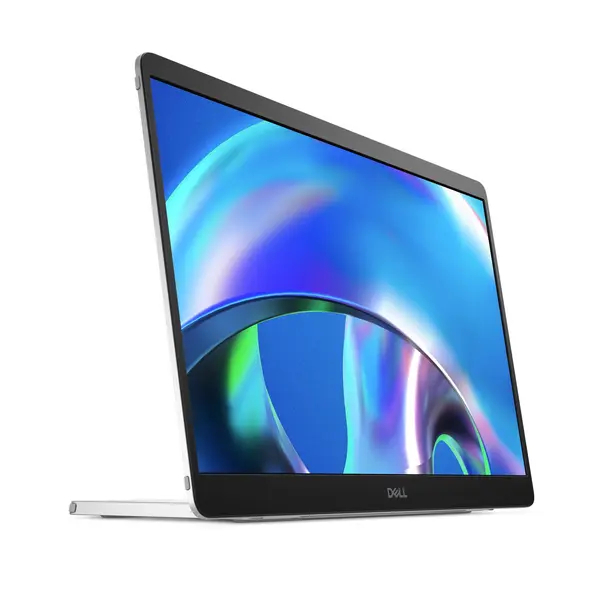 P1425 Dell Flat Portable Panel P1425 with USB-C