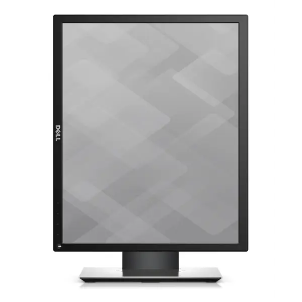 P1917S Dell Flat Panel 19" P1917S