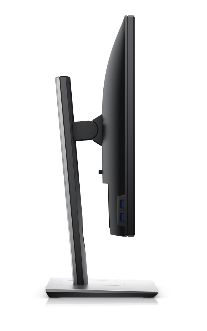 P1917S Dell Flat Panel 19" P1917S