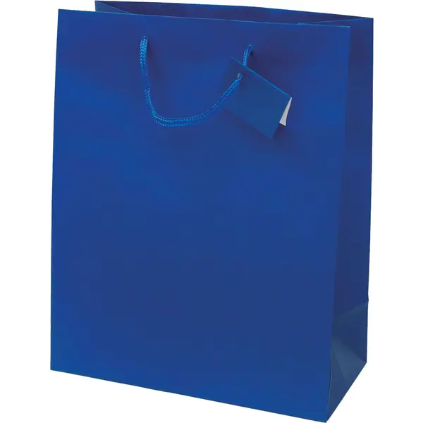 04096-EC Vrećica L jednobojna mat plava 26x32,4x12,7cm 71210 P12/144