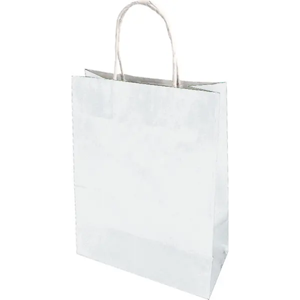 13908-EC Vrećica XL natron-ručka bijela obostrano 31x42x11cm 71339 P10/250