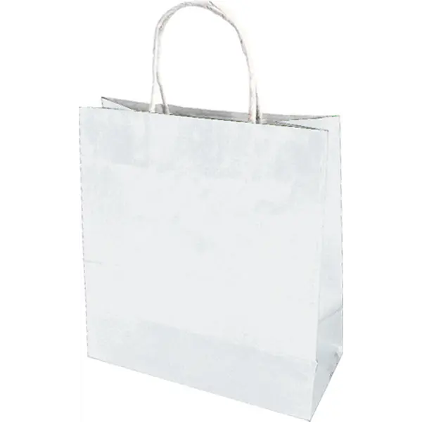213465-EC Vrećica L natron bijela obostrano 71338 26x8x35cm P10/250