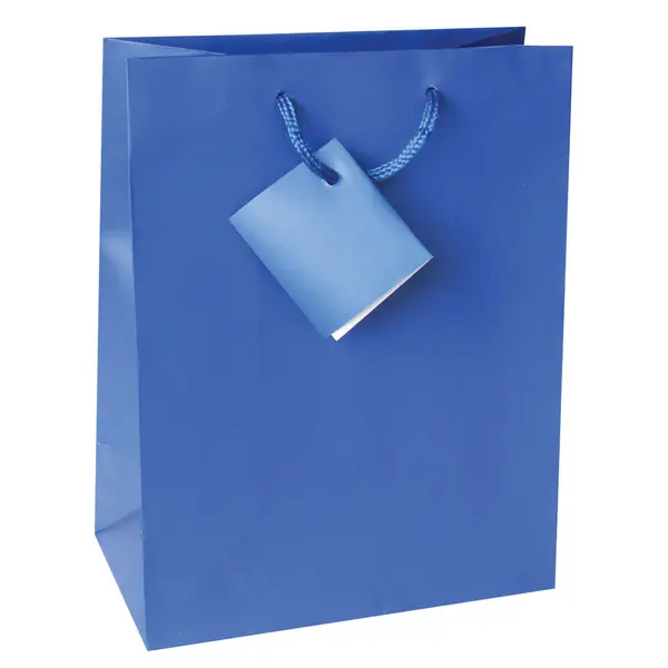 214137-EC Vrećica M jednobojna mat plava 17,8x22,9x9,8cm 71453 P12/288