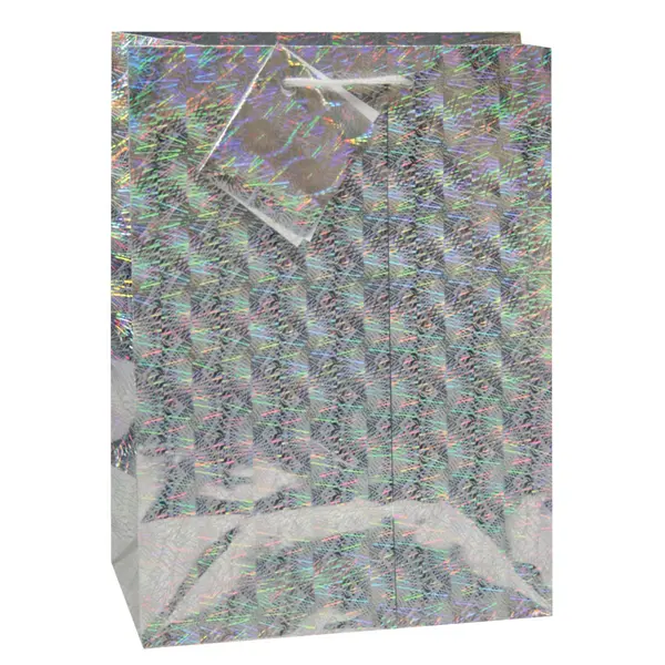 218318-EC Vrećica M hologramska srebrna 17,8x22,9x9,8cm 75032 P12/288