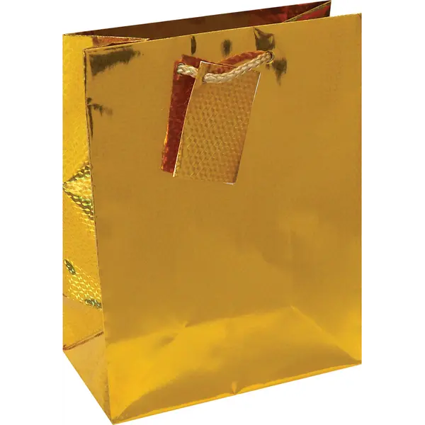 218319-EC Vrećica M hologramska zlatna 17,8x22,9x9,8cm 75033 P12/288
