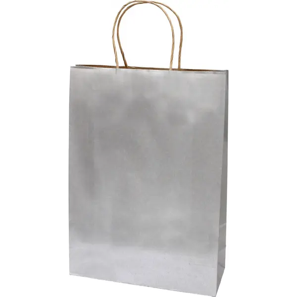 223348-EC Vrećica XL natron-ručka srebrna 31x11x42cm 71440 P10/250