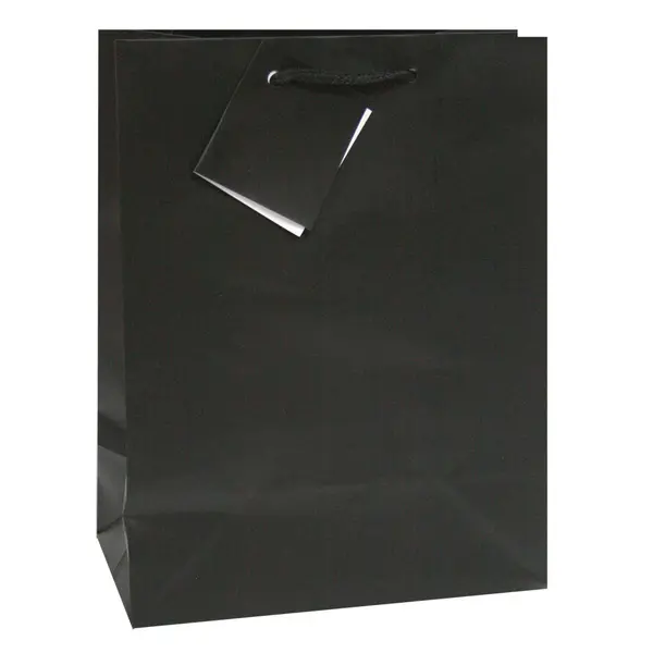 228239-EC Vrećica M jednobojna mat crna 17,8x22,9x9,8cm 75231 P12/288