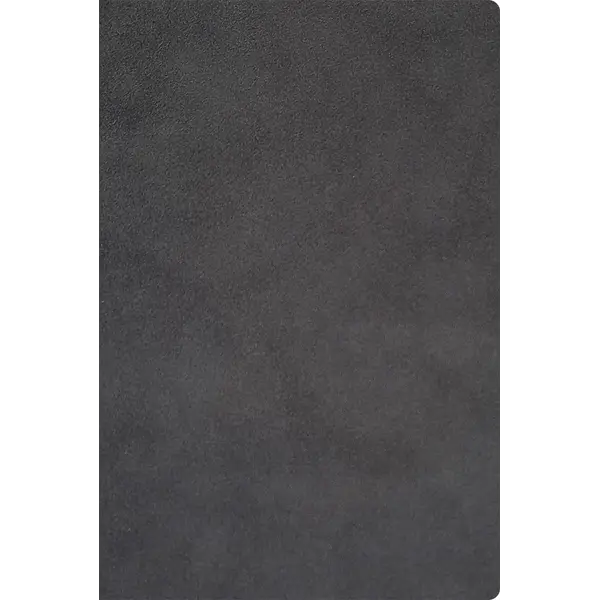 245355-EC Notes NUBUCK ECO A5 14x21 sivi 991.037.11 P20