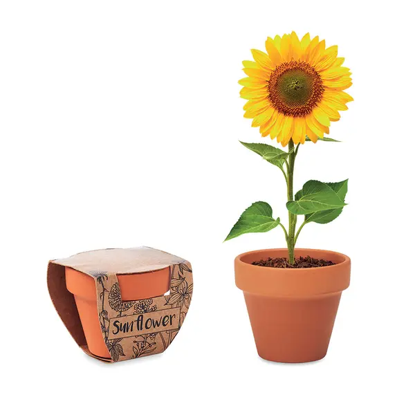 242485-EC Tegla Sunflower terakota sa sjemenom suncokreta