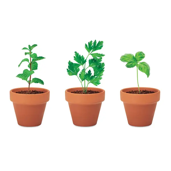 242486-EC Set teglica Flowerpot sa sjemenom začinskog bilja menta, peršin i bosiljak