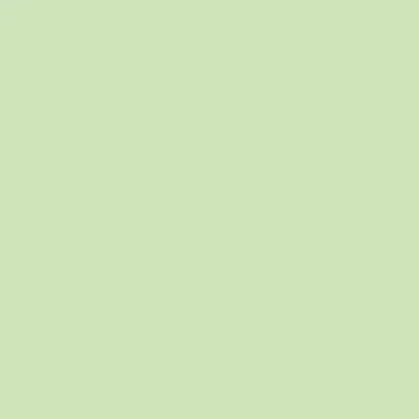 246505-EC Papir hamer B1 220gr. pastel zeleni GREEN 06 56815 10/1