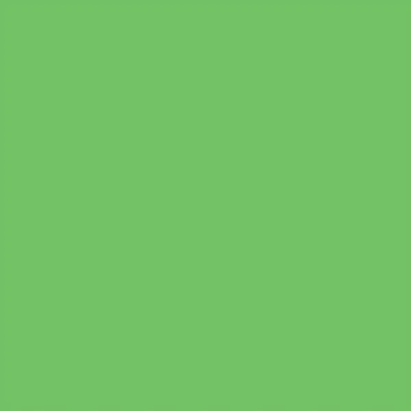 246516-EC Papir hamer B1 220gr. int. sv.zelena BRIGHT GREEN 23 56830 10/1