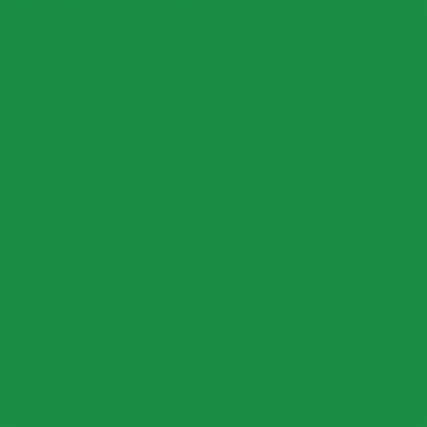246517-EC Papir hamer B1 220gr. int. zelena TEA GREEN 25 56832 10/1