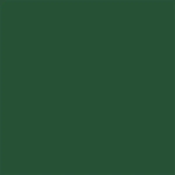 246518-EC Papir hamer B1 220gr. int. t.zelena PARROT 28 56833  10/1