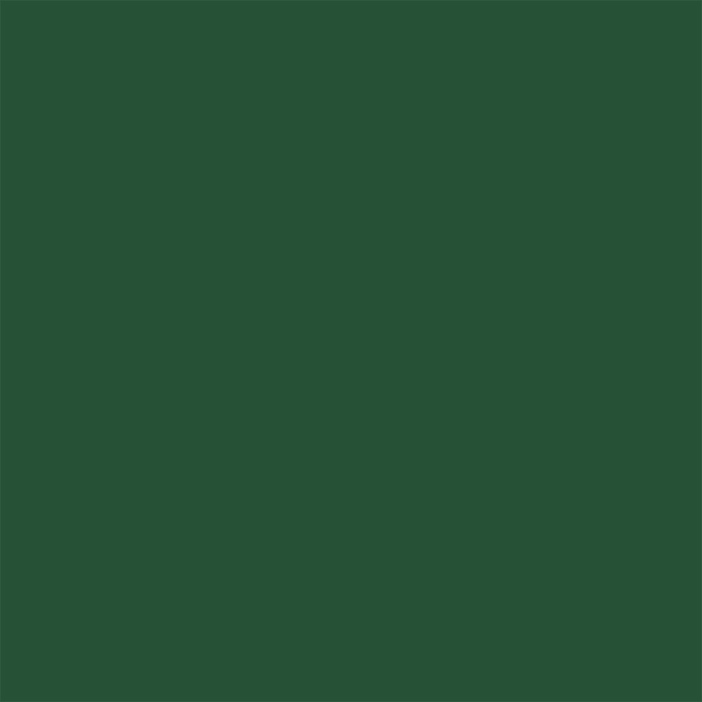 246518-EC Papir hamer B1 220gr. int. t.zelena PARROT 28 56833  10/1
