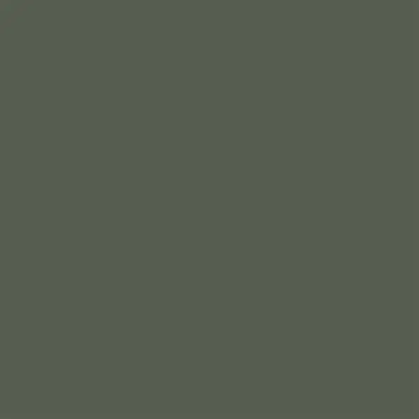 246522-EC Papir hamer B1 220gr. int. sv.siva LIGHT GREY 39 56839 10/1