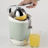 00C041304AR0 ARIETE citruseta Vintage 413/04 zelena