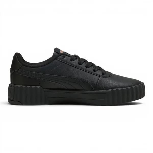 400365-02 Puma Carina 3.0