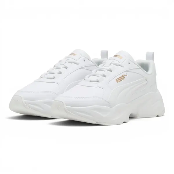 402678-02 Puma Cassia 2.0 L