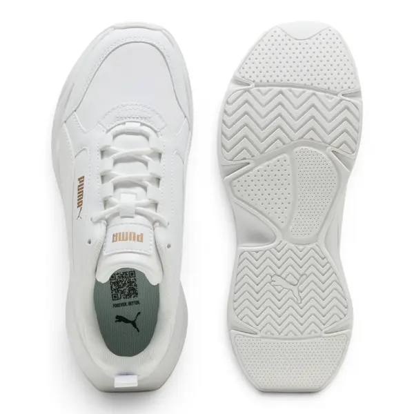 402678-02 Puma Cassia 2.0 L