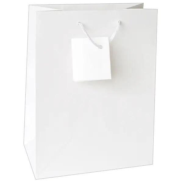 04047-EC Vrećica L jednobojna mat bijela 26x32,4x12,7cm 71212 P12/144