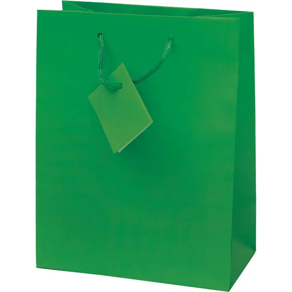 214140-EC Vrećica M jednobojna mat zelena 17,8x22,9x9,8cm 71463 P12/288