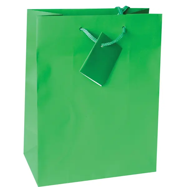 214150-EC Vrećica XL jednobojna mat zelena 33x45,7x10,2 71462 P12/144