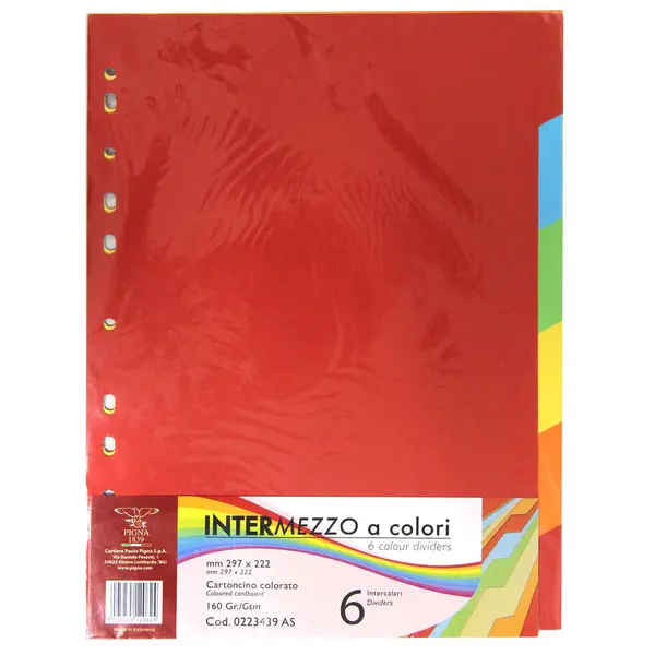 221410-EC Index kart. 6 boja za registr.A4 Pigna 0223439 P40/120