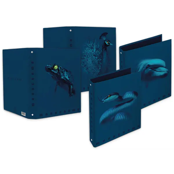 241202-EC Registrator A4 Pigna Monocromo Blue P5/30