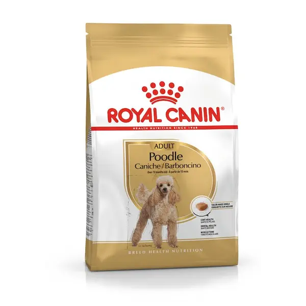 Poodle