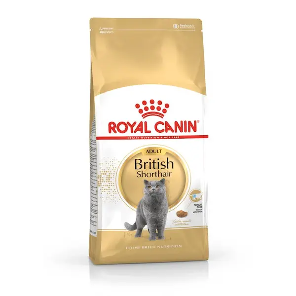 RC Fel.British Shorthair 2kg