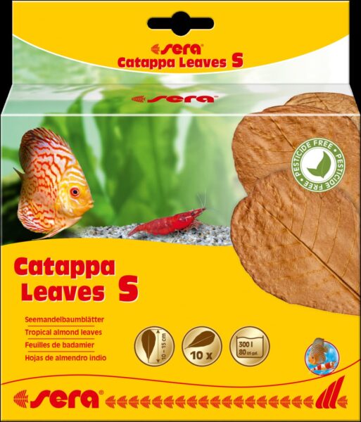 45243 (32273) Sera Catappa lišće S 10-15cm 10kom