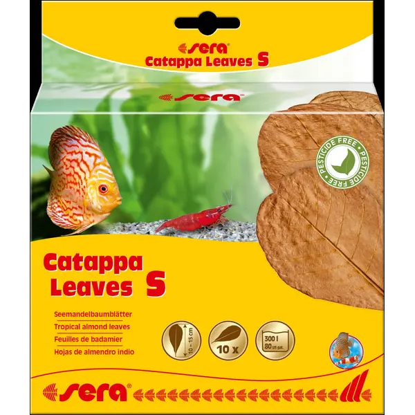 45243 (32273) Sera Catappa lišće S 10-15cm 10kom