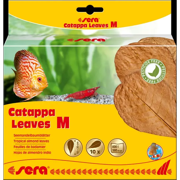 45244 (32274) Sera Catappa lišće M 16-20cm 10kom