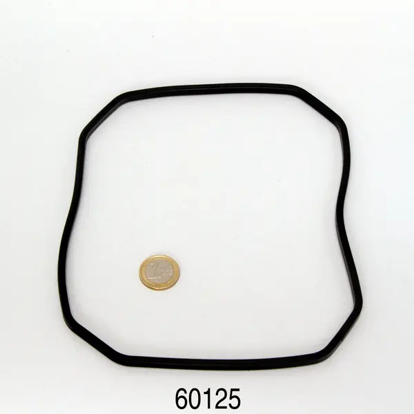 JBL CP e1500 Pump Head Rubber gasket