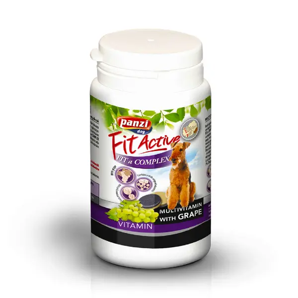 306346 Panzi Fit-Active Vitamini Complex 60g