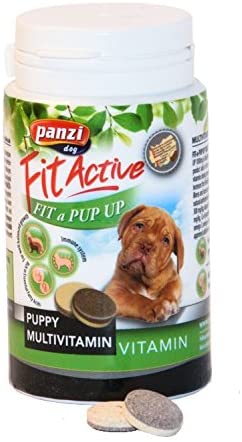 Panzi Fit-Active Vitamini Puppy 60g XX
