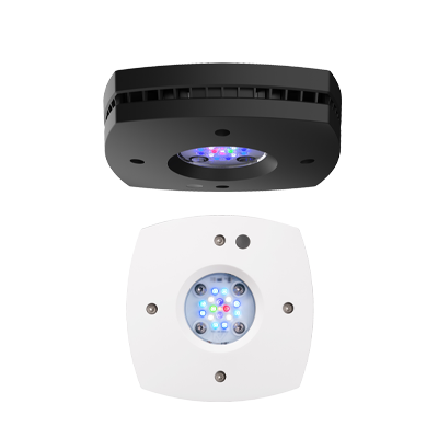 AI-Prime16HD black Rasvjeta Hydra 16 HD black