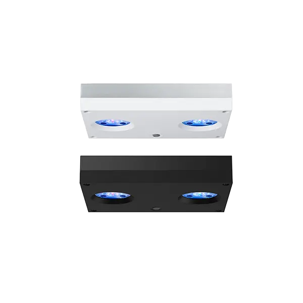 Rasvjeta Hydra 32 HD LED black