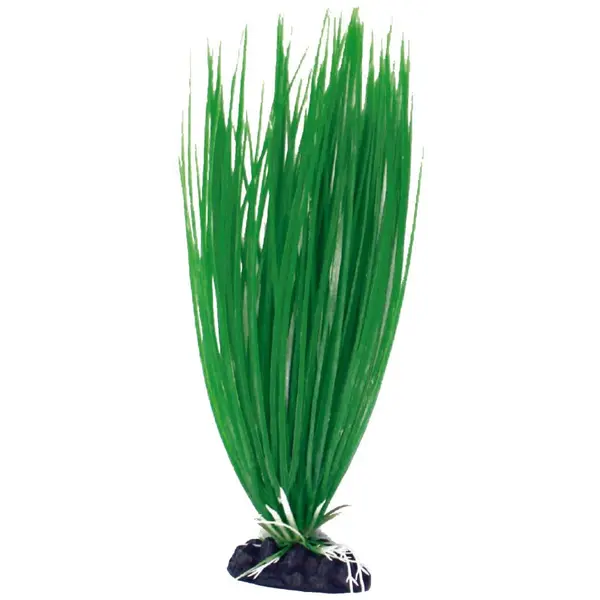 A8011934 PLASTIČNO BILJE M 18cm ACORUS