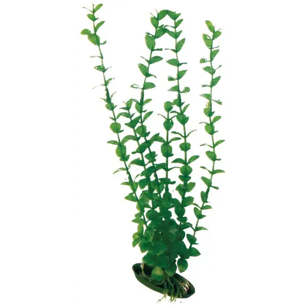 Plastično bilje Rotala