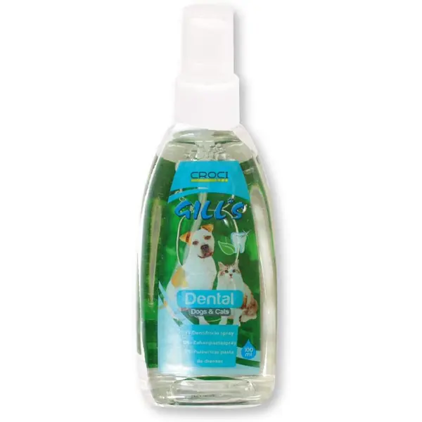 Gills Dental spray 100ml