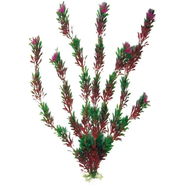 Plastično bilje Flora bicolor