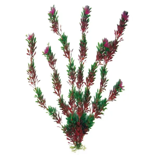 A8011184 PLASTIČNO BILJE L 27cm Flora bicolor