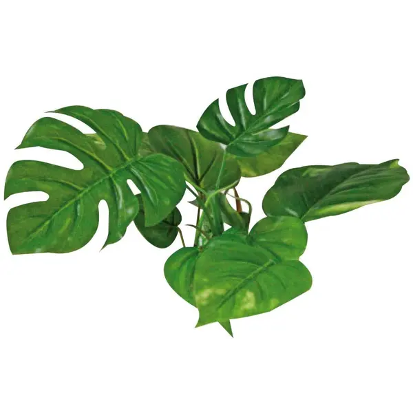 PLASTIČNO BILJE S 15cm ANUBIAS svileno