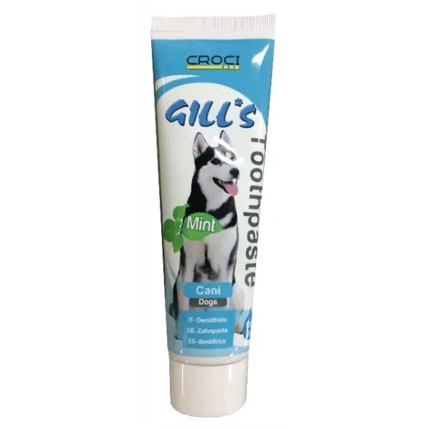 Gills Dental Pasta za zube 100g mint