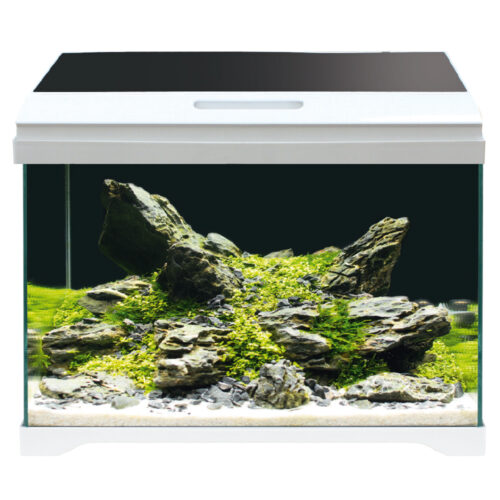 A2001069 W Akvarij 42,5x23,5x36,5cm Modern tank 40
