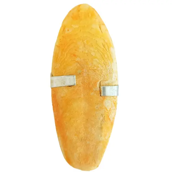 24655 Sipina kost 1 kom 8-10cm banana Tatrapet